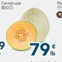 Oceans Fresh Food Market Cantaloupe offer