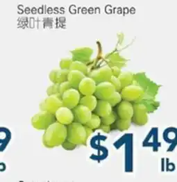 Oceans Fresh Food Market Seedless Green Grape offer