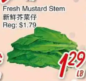 Foody Mart Fresh Mustard Stem offer