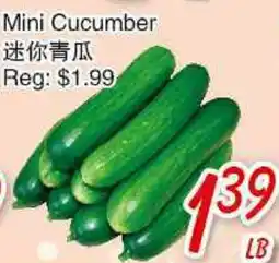 Foody Mart Mini Cucumber offer