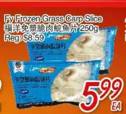 Foody Mart FY FROZEN GRASS CARP SLICE offer