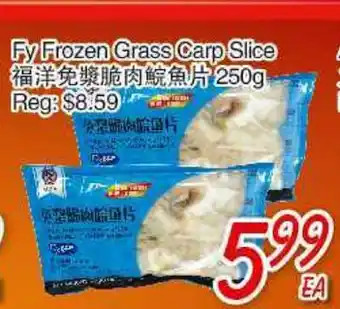 Foody Mart FY FROZEN GRASS CARP SLICE offer