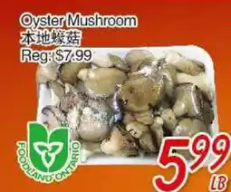 Foody Mart Oyster Mushroom offer