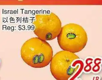 Foody Mart Israel Tangerine offer