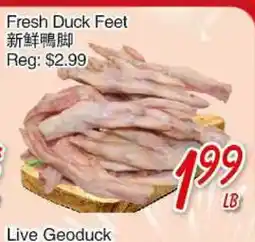 Foody Mart Fresh Duck Feet offer