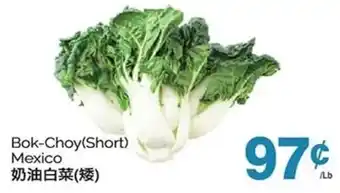 T&T Supermarket Bok-Choy(Short) Mexico offer