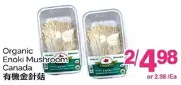 T&T Supermarket Organic Enoki Mushroom Canada offer