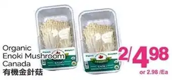 T&T Supermarket Organic Enoki Mushroom Canada offer