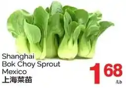 T&T Supermarket Shanghai Bok Choy Sprout Mexico offer