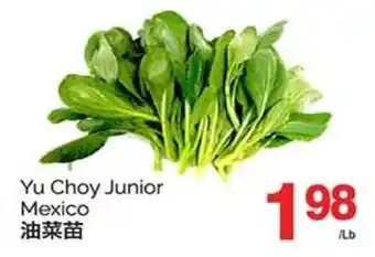 T&T Supermarket Yu Choy Junior Mexico offer