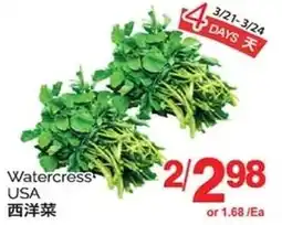 T&T Supermarket Watercress USA offer