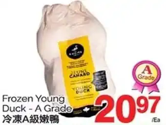 T&T Supermarket Frozen Young Duck -A Grade offer