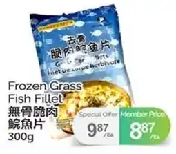 T&T Supermarket Frozen Grass Fish Fillet offer