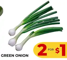 Iqbal Foods Green onion offer