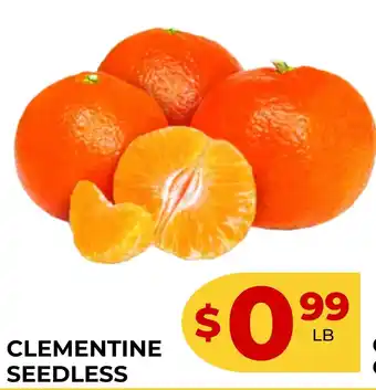 Iqbal Foods Clementine seedless offer