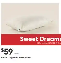 Sleep Country Bloom Organic Cotton Pillow offer