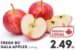 IGA Fresh bc gala apples offer