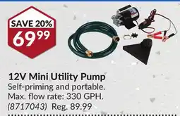 Princess Auto 12V Mini Utility Pump offer