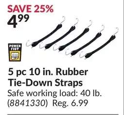 Princess Auto 5 pc 10 in. Rubber Tie-Down Straps offer