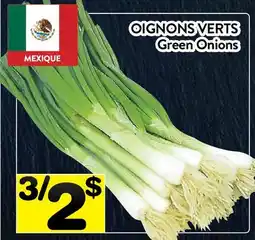 Supermarché PA OIGNONS VERTS | Green Onions offer