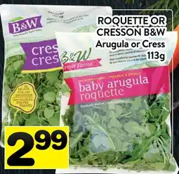 Supermarché PA ROQUETTE OR CRESSON B & W | B & W Arugula or Cress offer