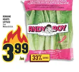 Marché Adonis ANDY BOY ROMAINE HEARTS LETTUCE offer