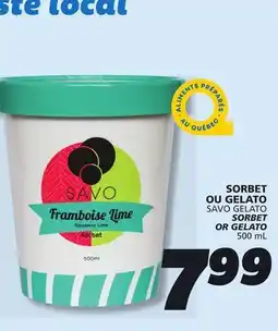 IGA SAVO GELATO SORBET OR GELATO offer