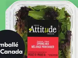 IGA ATTITUDE FRAÎCHE LETTUCE OR LETTUCE MIX WITHOUT TOPPINGS offer