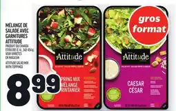 Metro MÉLANGE DE SALADE AVEC GARNITURES ATTITUDE | ATTITUDE SALAD MIX WITH TOPPINGS offer