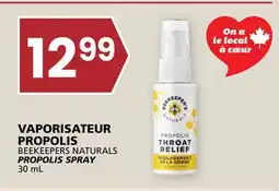 Rachelle-Bery Grocery BEEKEEPERS NATURALS PROPOLIS SPRAY offer