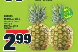 Super C ANANAS TROPICAL GOLD | TROPICAL GOLD PINEAPPLE offer