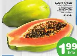 Marches Tradition GIANT PAPAYA offer