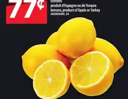 Maxi CITRONS | LEMONS offer