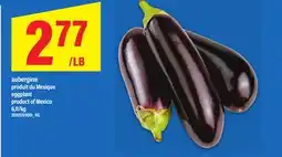 Maxi AUBERGINE | EGGPLANT offer