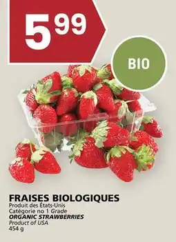 Rachelle-Bery Grocery ORGANIC STRAWBERRIES offer