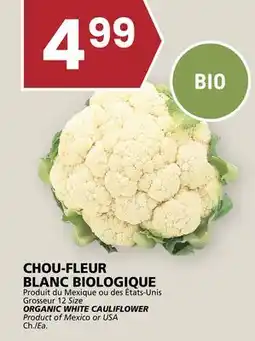 Rachelle-Bery Grocery ORGANIC WHITE CAULIFLOWER CAULIFLOWER offer