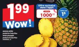 Maxi ANANAS ENTIER | WHOLE PINEAPPLE offer