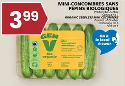 Rachelle-Bery Grocery ORGANIC SEEDLESS MINI CUCUMBERS offer