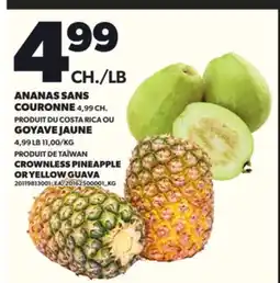 Provigo ANANAS SANS COURONNE OU GOYAVE JAUNE offer