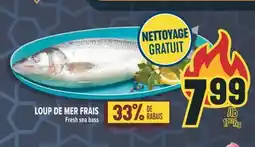 Marché Adonis LOUP DE MER FRAIS | Fresh sea bass offer