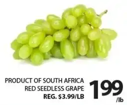 Centra Food Market Red seedless grape offer