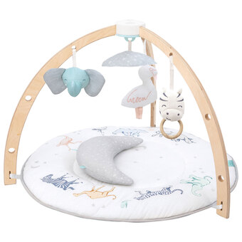 Best Buy Aden + Anais Baby Play Activity Gym Mat offer