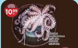 Kim Phat OCTOPUS offer