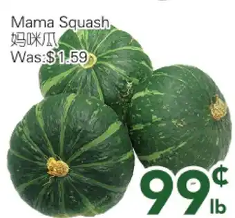 Ample Food Market Mama Squash offer