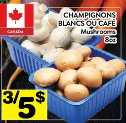 Supermarché PA CHAMPIGNONS BLANCS OU CAFÉ | Mushrooms offer