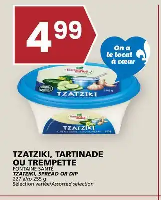 Rachelle-Bery Grocery FONTAINE SANTÉ TZATZIKI, SPREAD OR DIP offer