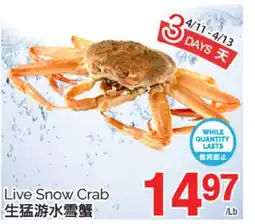 T&T Supermarket LIVE SNOW CRAB offer