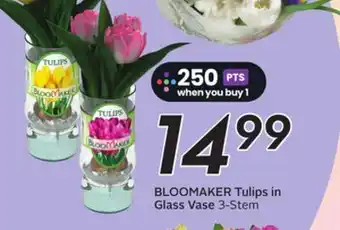 Sobeys BLOOMAKER Tulips in Glass Vase offer