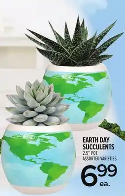Metro EARTH DAY SUCCULENTS offer