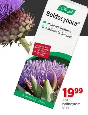 Avril boldocynara offer